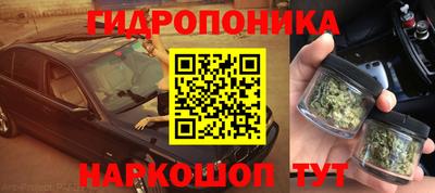 jwh Гудермес
