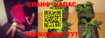 прущая мука Вязьма