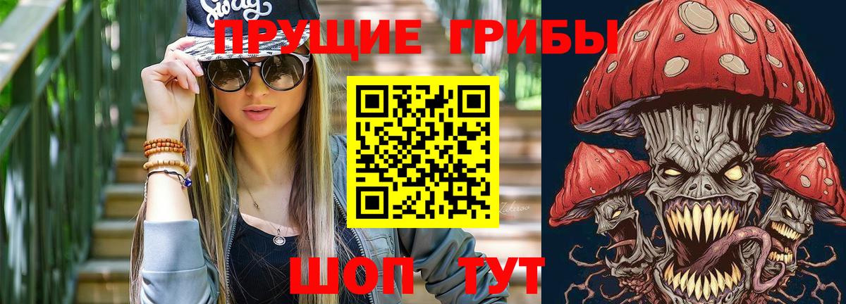 Псилоцибиновые грибы Cubensis Новочебоксарск