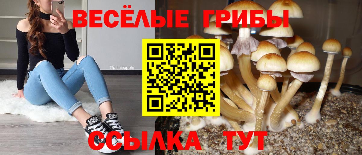 Галлюциногенные грибы прущие грибы  купить наркотик  Новочебоксарск  Вход с VPN 